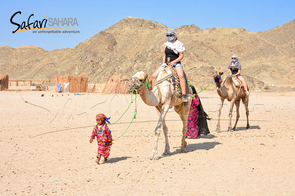 Privates Jeep-Abenteuer zum Sahara Park Hurghada