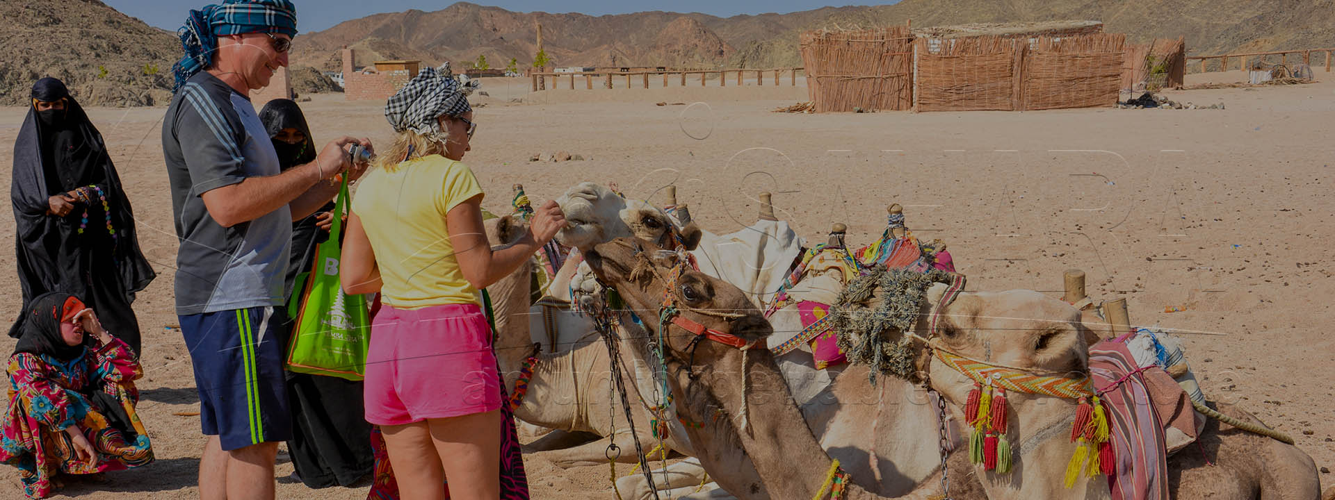 Quad-Bike-Safari: halbtägiger Ausflug in den Sahara-Park